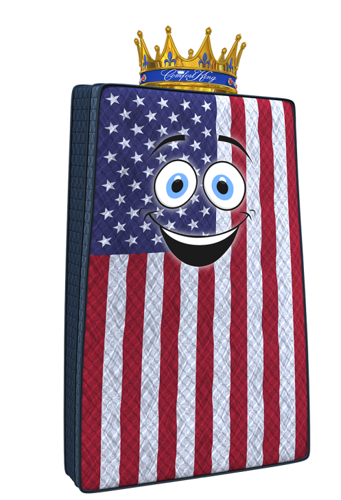 comfy_flag_2020_SMALL-not-for-print.png