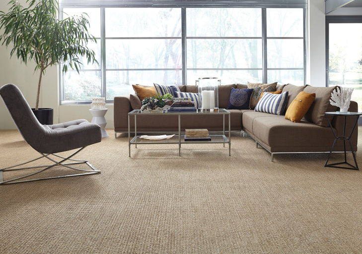 shaw_carpet_StLucia_214__H.jpg