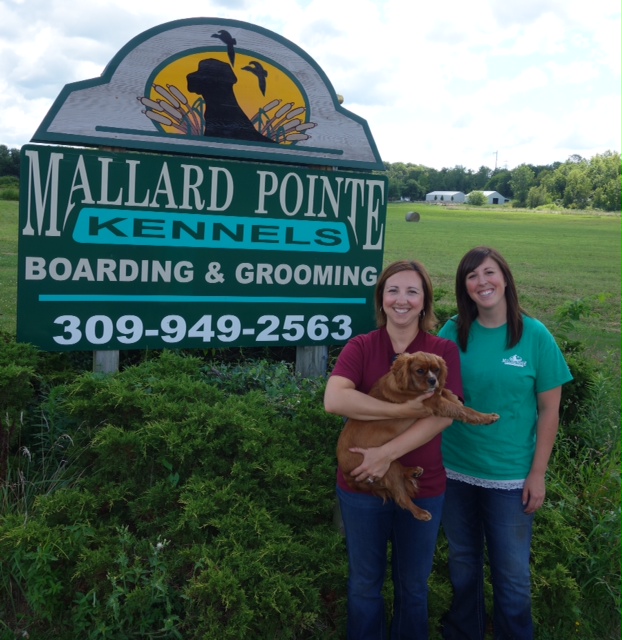 Mallard Pointe photo