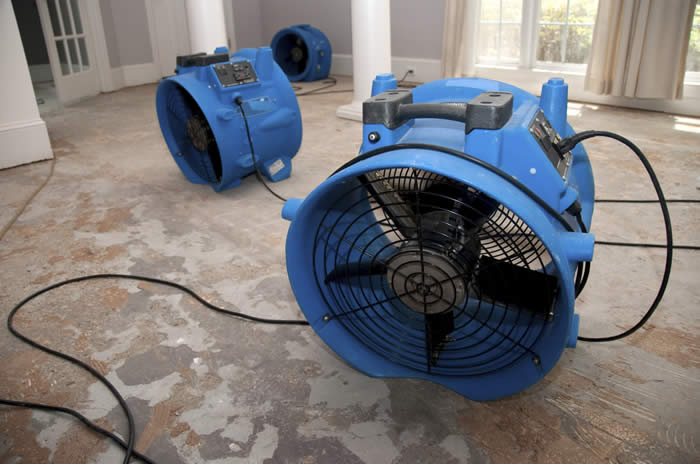 Water Restoration Fans