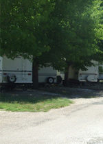 amenities-shadetrees.jpg